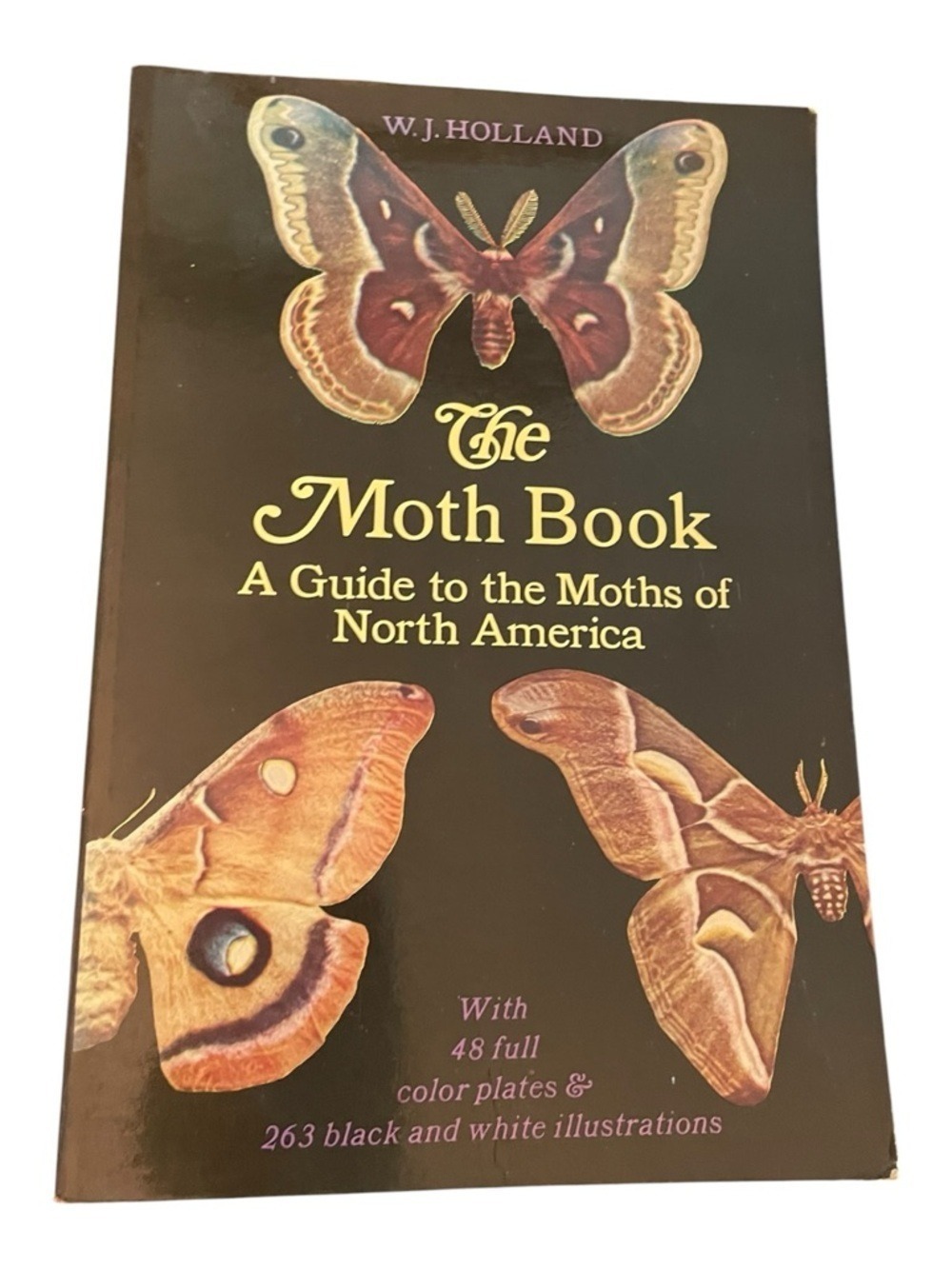 Vintage The Moth Book W. J. Holland Dover 1968 Edition Nature Guide PB